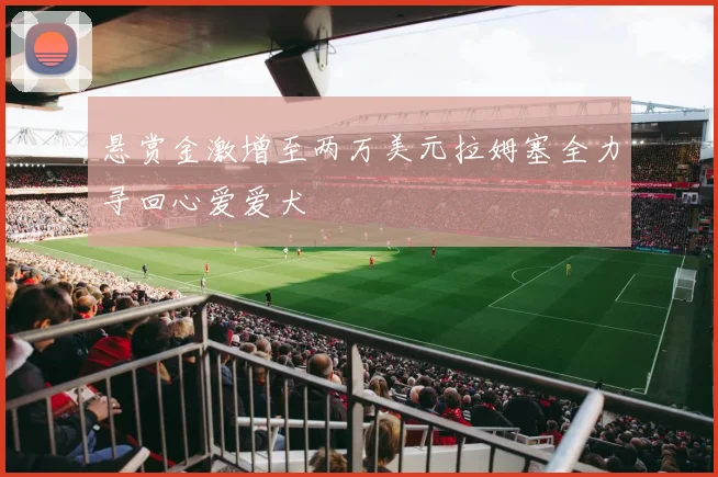 悬赏金激增至两万美元拉姆塞全力寻回心爱爱犬