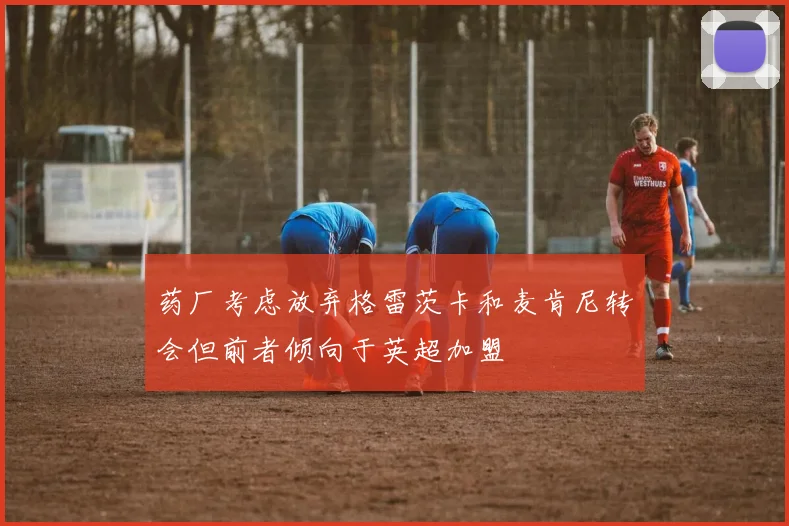药厂考虑放弃格雷茨卡和麦肯尼转会但前者倾向于英超加盟