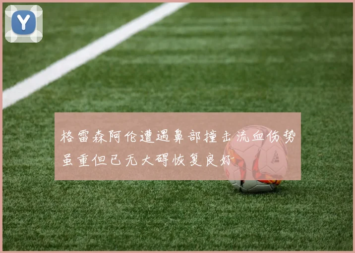 格雷森阿伦遭遇鼻部撞击流血伤势虽重但已无大碍恢复良好