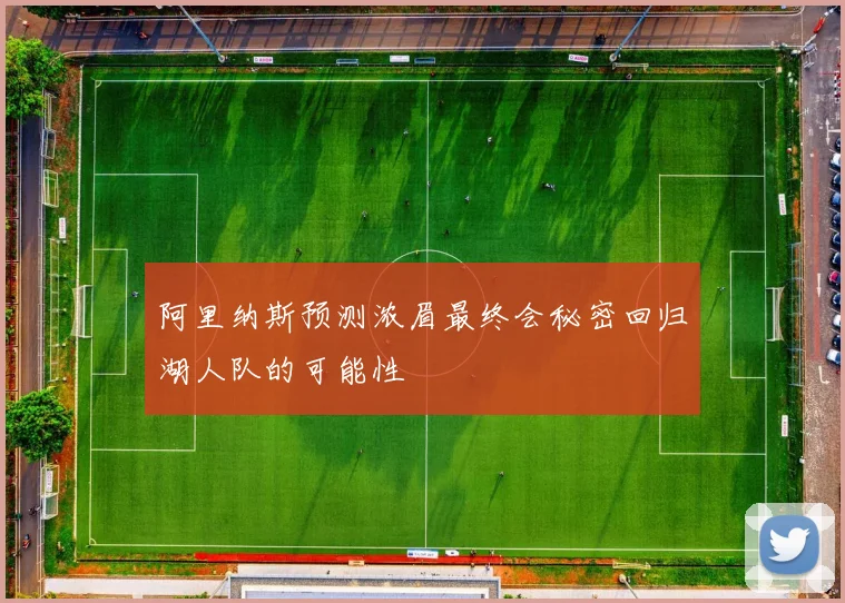 阿里纳斯预测浓眉最终会秘密回归湖人队的可能性